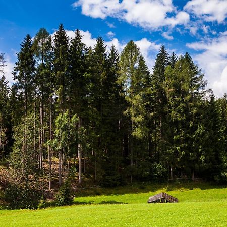 Biobauernhof Kleinummerstall Mittersill Zewnętrze zdjęcie