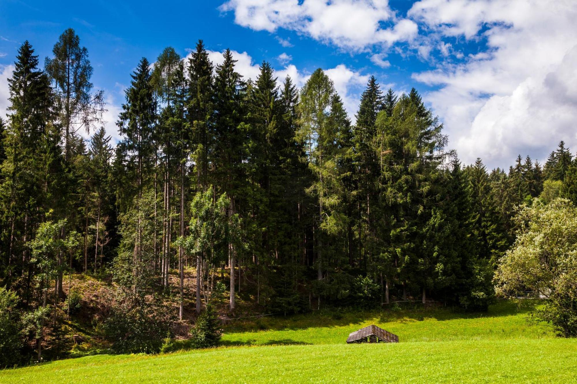 Biobauernhof Kleinummerstall Mittersill Zewnętrze zdjęcie