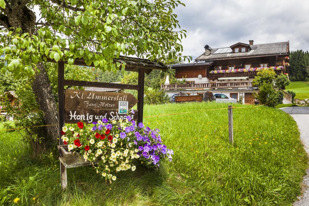 Biobauernhof Kleinummerstall Mittersill Zewnętrze zdjęcie